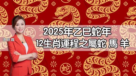 2027年生肖運程|【2027年生肖運程】驚人！2027年屬猴發大財，其他這些屬相運。